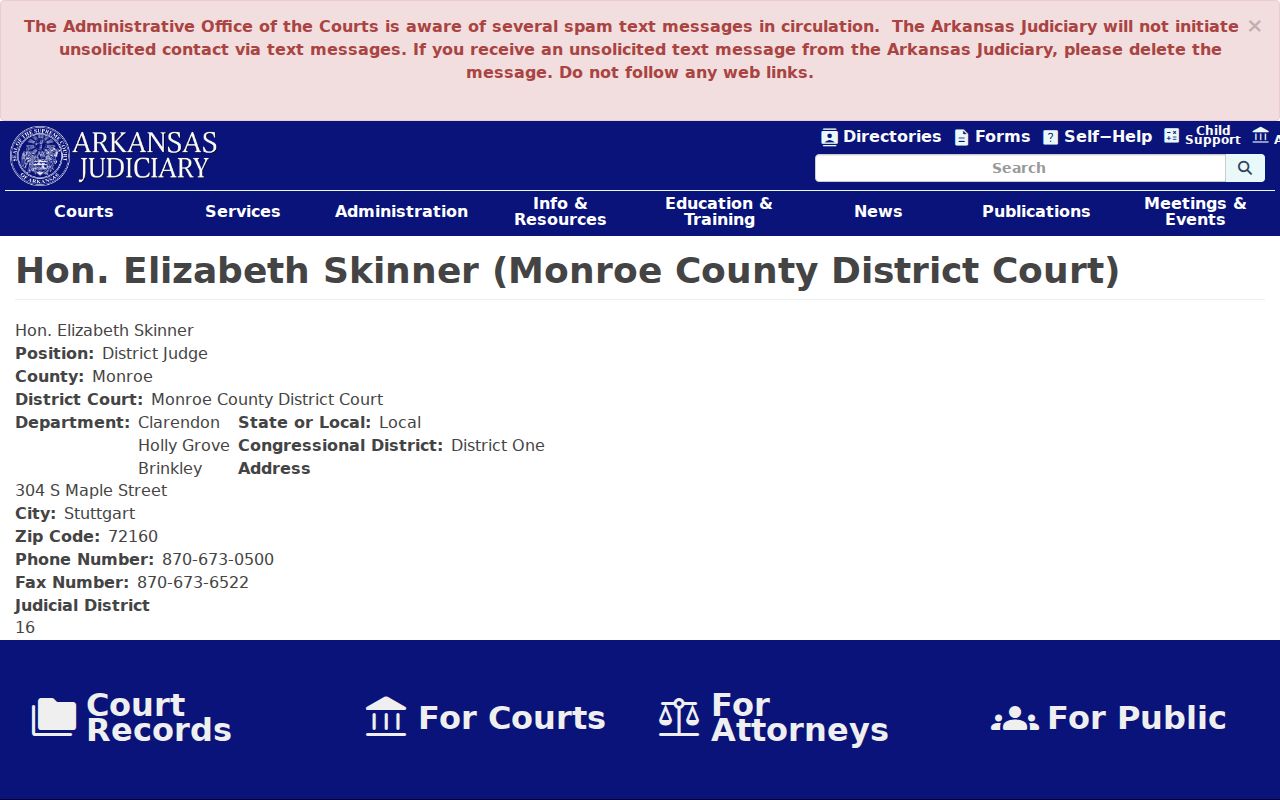 Clarendon court docket District Judge Elizabeth Skinner profile